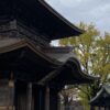阿蘇神社の楼門とイチョウ