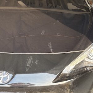 ８６に猫の足跡