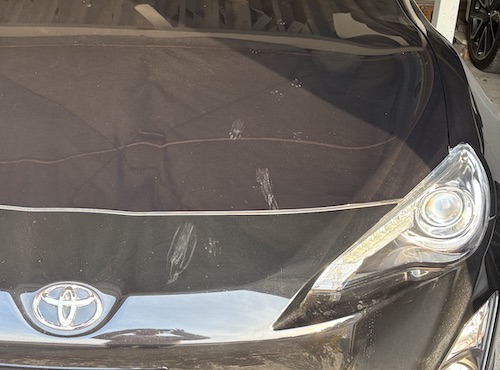 ８６に猫の足跡