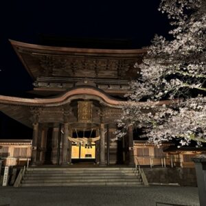 今年も阿蘇神社の夜桜を見に行ってきた！