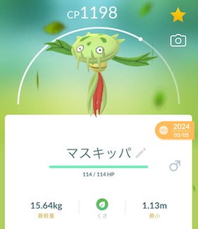 マスキッパ