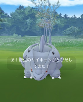 サイホーン