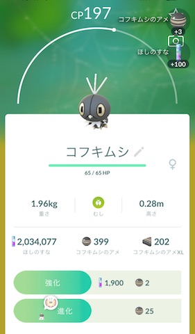 ビビヨンたいよう