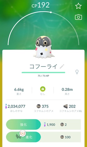 ビビヨンたいよう