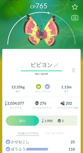 ビビヨンたいよう