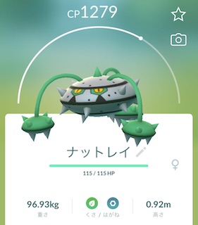ナットレイソロ