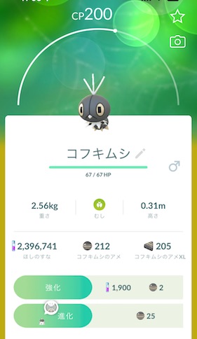 ビビヨンジャングルの地域