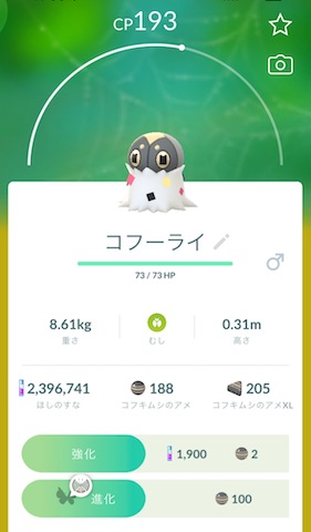 ビビヨンジャングルの地域