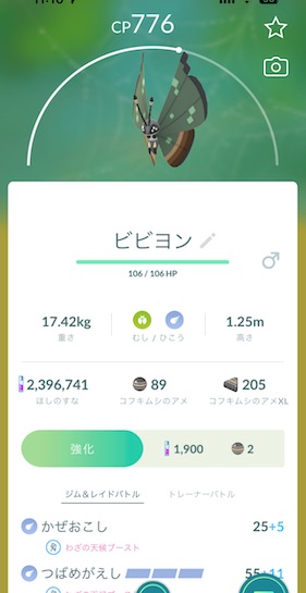 ビビヨンジャングルの地域