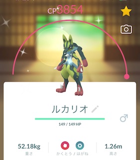 色違いメガルカリオ