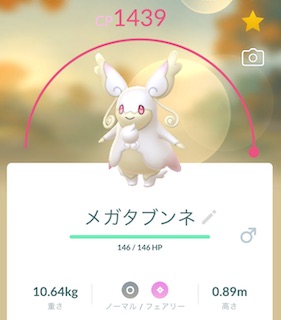 メガタブンネ 何人
