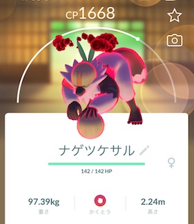 ダイマックスナゲツケサルソロ