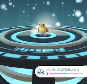 ポケモンを２匹進化させる