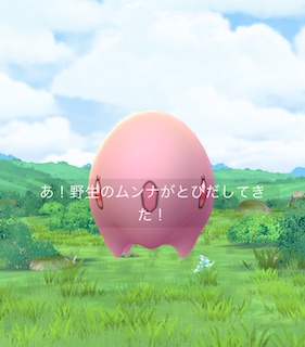 ポケモンを５種類捕まえる
