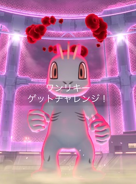 ポケモンを５種類捕まえる