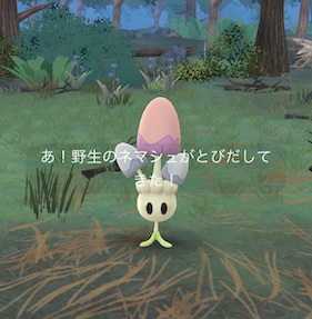 ネマッシュ