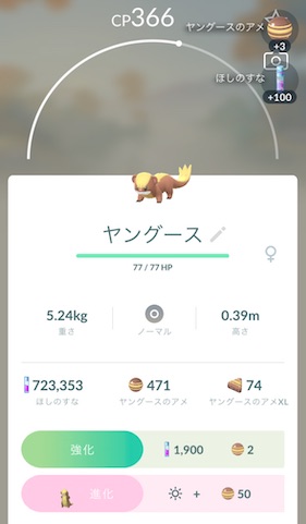 ヤングース