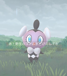 ゴチムを捕まえる