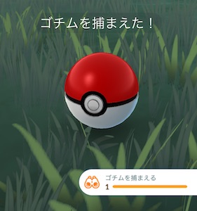 ゴチムを捕まえる