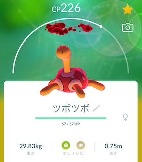 ダイマックスツボツボ