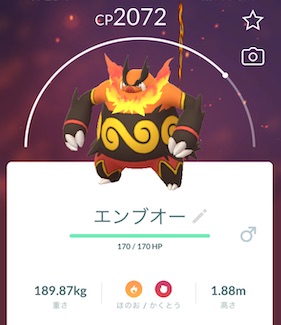 エンブオーはソロで倒せる？