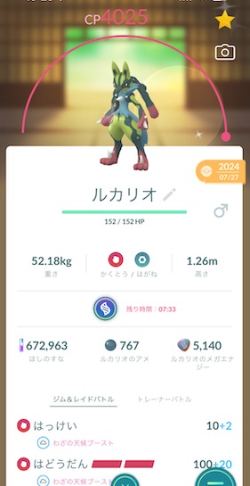 色違いメガルカリオ