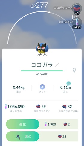 ココガラ