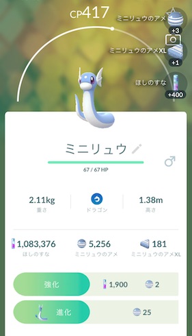 ミニリュウ