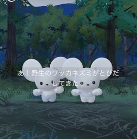 ワッカネズミ