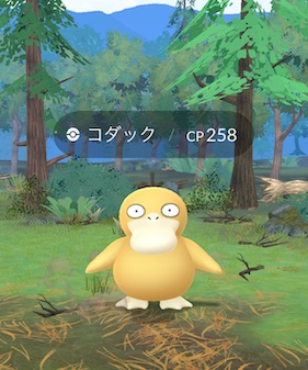コダック
