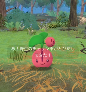 チェリンボ