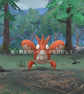 みずタイプのポケモンを１０匹捕まえる