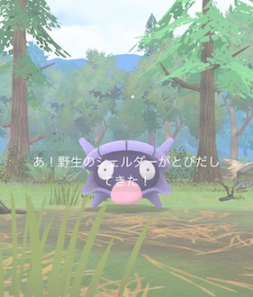 みずタイプのポケモンを１０匹捕まえる
