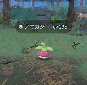 ポケモンを１０匹捕まえる