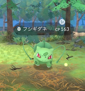 色違いフシギダネ