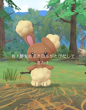 ノーマルタイプのポケモンを５匹捕まえる