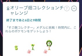 オリーブ畑コレクションチャレンジ