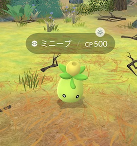 オリーブ畑コレクションチャレンジ
