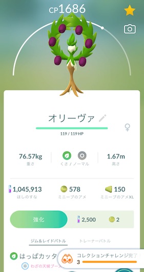 オリーブ畑コレクションチャレンジ