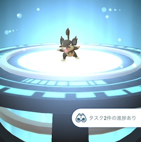 あくタイプのポケモンを３匹進化させる