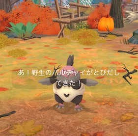 あくタイプのポケモンを３匹進化させる