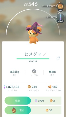 ハロウィン衣装のヒメグマ