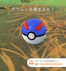 ポケモンを１５匹捕まえる