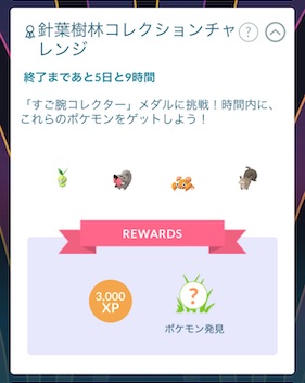 針葉樹林コレクションチャレンジ