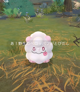 フェアリータイプのポケモンを５匹捕まえる