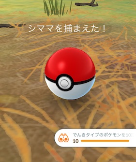 でんきタイプのポケモンを10匹捕まえる