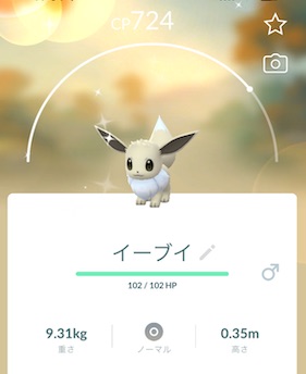 ダイマックスイーブイはソロで倒せる？