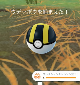 パルデア地方の旅：バイオレットコレクションチャレンジ