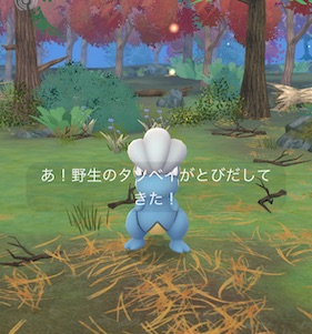 パルデア地方の旅：バイオレットコレクションチャレンジ