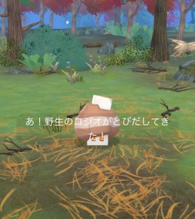 ポケモンを１０回強化する